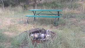 Picnic Table and Fire Pit